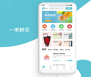 黔南布依族苗族自治州APP开发团购电商系统为你的企业提供安全、卓越、可靠的软件开发服务【节日盛宴，优惠不停歇】